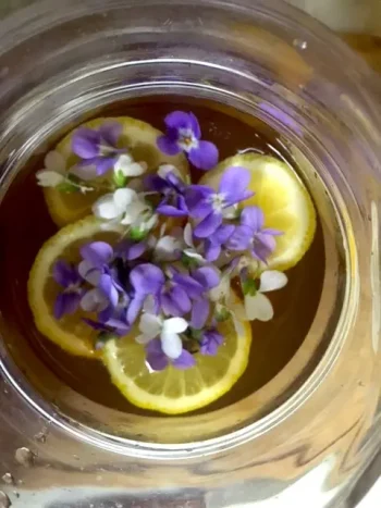 Recepta salvatge #2: Cava de violes