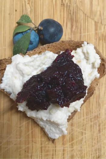 Recepta de paté #4:  Formatge amb melmelada d'aranyons