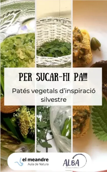Pack: 12 patés vegetals silvestres