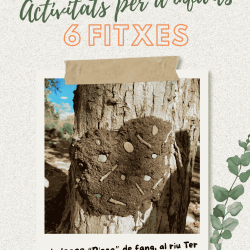 Pack: 6 Fitxes d'Activitats per a Infants