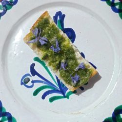 Bases de patés vegetals silvestres