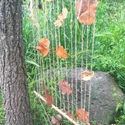 Fitxa d'Activitat per a infants #1: Teler de bosc