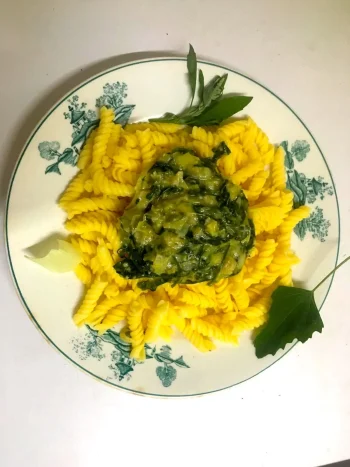 Fitxa Sales #2: Salsa d'esìnacs (amb blets)